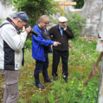 moloskovitsa